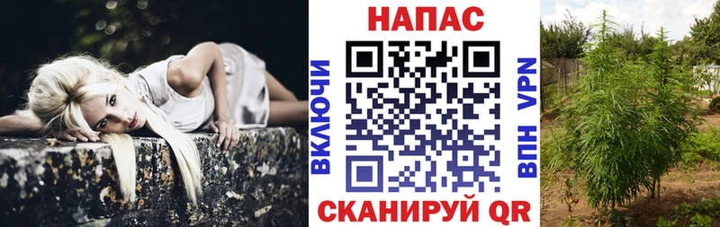 Бошки марихуана Ganja  что такое наркотик  Салават 